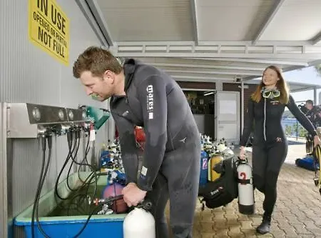 Alex 아파트 Drenje (Istria)