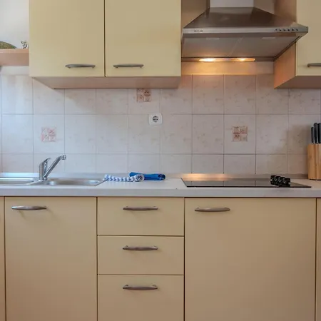 Alex 公寓 Drenje (Istria)