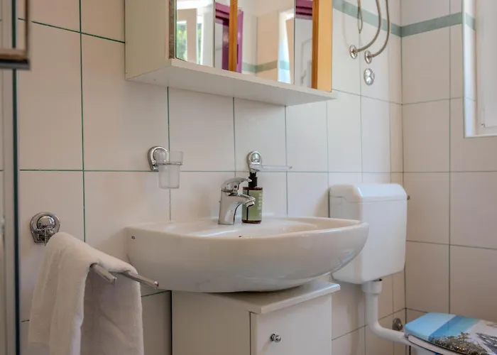 Apartman Alex Drenje (Istria)