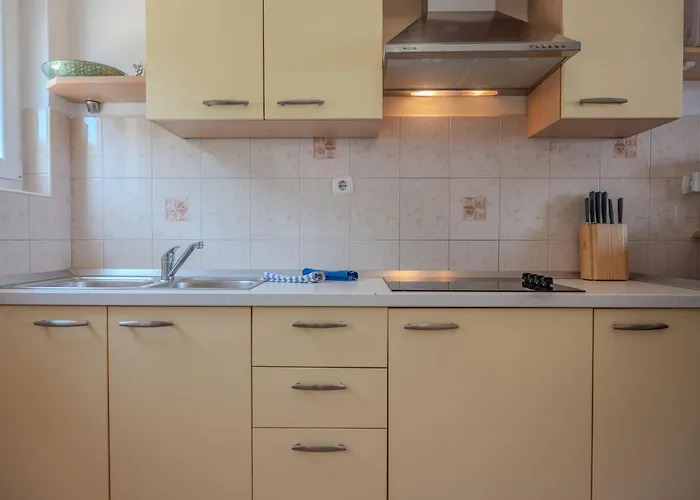 Alex Apartman Drenje (Istria)