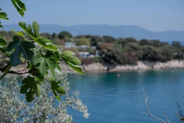 Alex Апартаменты *