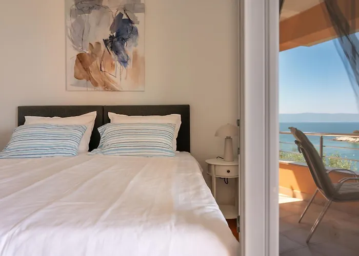 Alex Apartman Drenje (Istria)