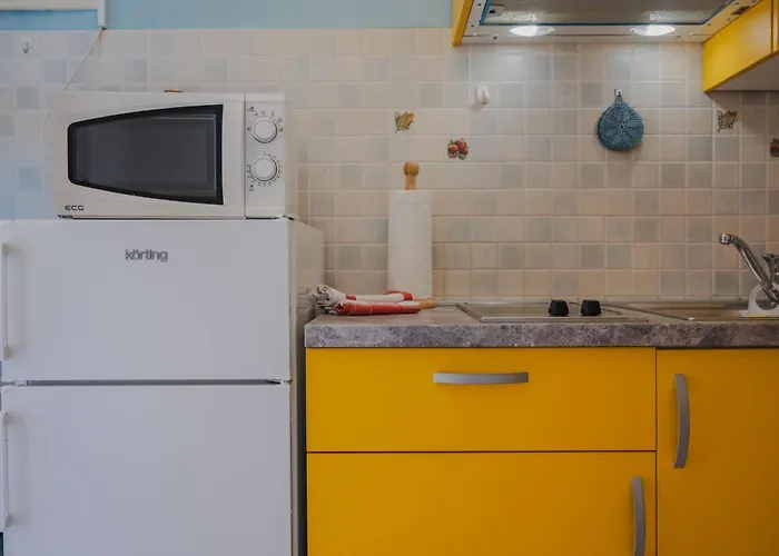 Apartman Alex Drenje (Istria)