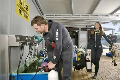 Alex Apartman Drenje (Istria)